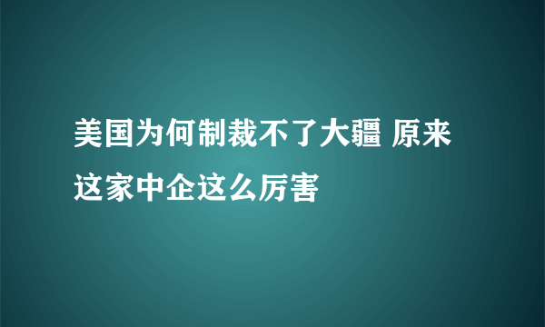 美国为何制裁不了大疆 原来这家中企这么厉害