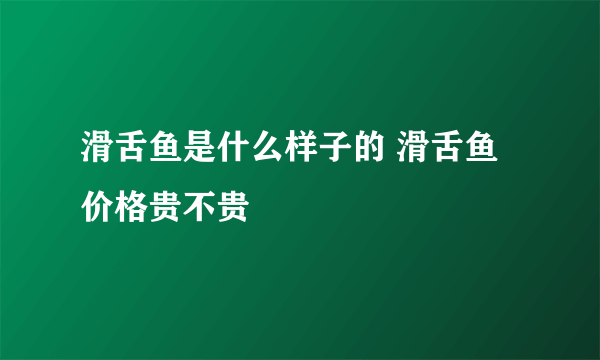 滑舌鱼是什么样子的 滑舌鱼价格贵不贵