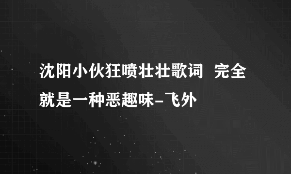 沈阳小伙狂喷壮壮歌词  完全就是一种恶趣味-飞外