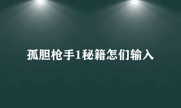 孤胆枪手1秘籍怎们输入