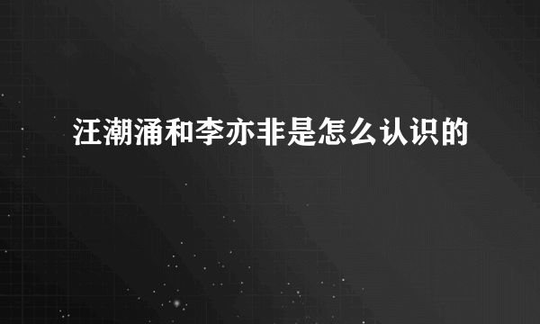 汪潮涌和李亦非是怎么认识的