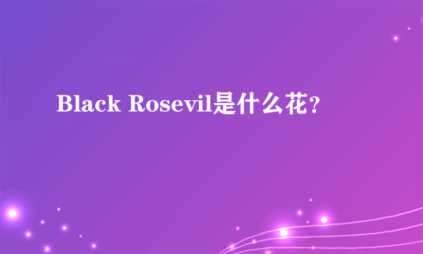 Black Rosevil是什么花？