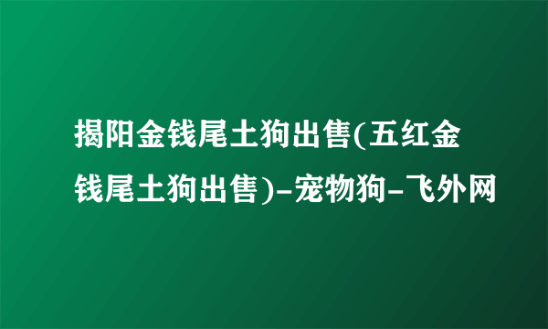 揭阳金钱尾土狗出售(五红金钱尾土狗出售)-宠物狗-飞外网