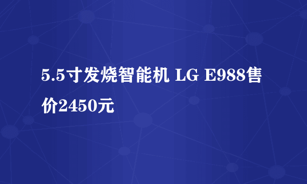 5.5寸发烧智能机 LG E988售价2450元