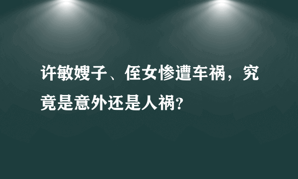 许敏嫂子、侄女惨遭车祸，究竟是意外还是人祸？