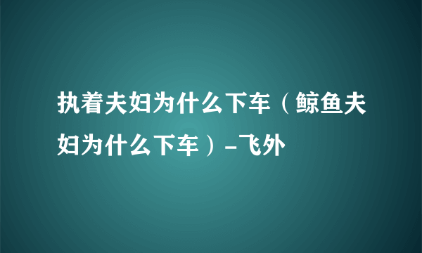 执着夫妇为什么下车（鲸鱼夫妇为什么下车）-飞外