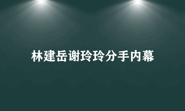 林建岳谢玲玲分手内幕