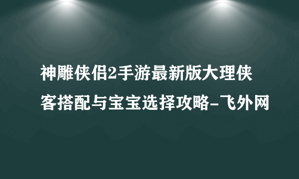 神雕侠侣2手游最新版大理侠客搭配与宝宝选择攻略-飞外网