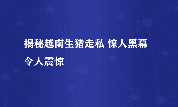 揭秘越南生猪走私 惊人黑幕令人震惊