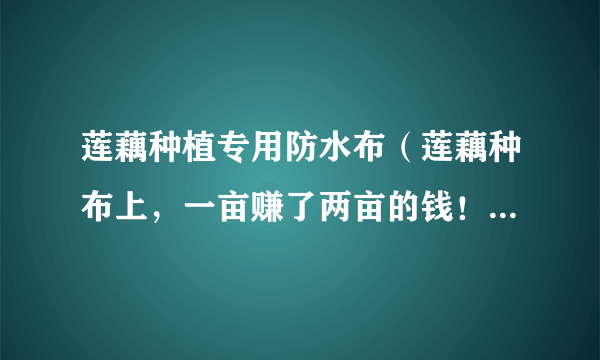 莲藕种植专用防水布（莲藕种布上，一亩赚了两亩的钱！）-飞外