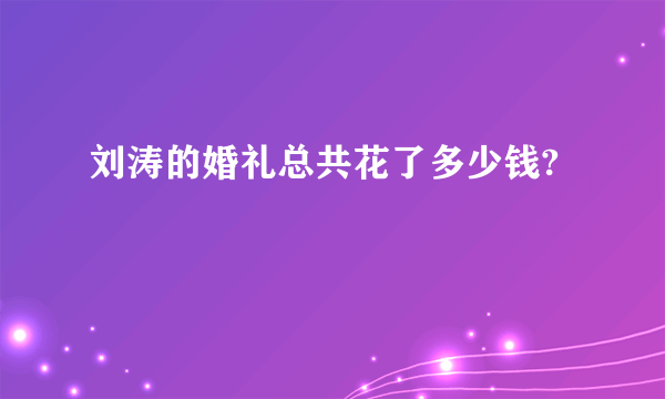 刘涛的婚礼总共花了多少钱?