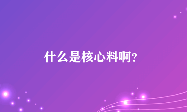 什么是核心料啊？