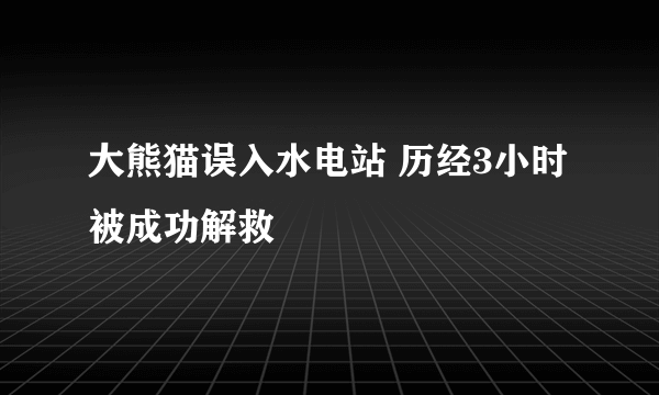 大熊猫误入水电站 历经3小时被成功解救