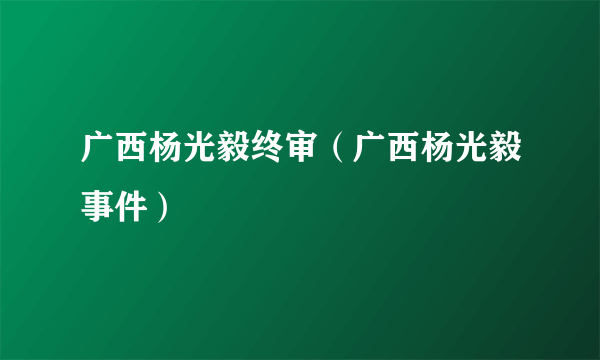 广西杨光毅终审（广西杨光毅事件）