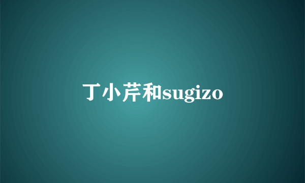 丁小芹和sugizo