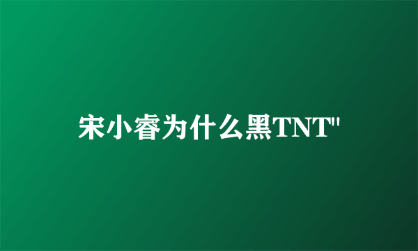 宋小睿为什么黑TNT