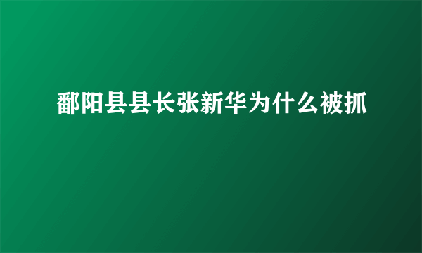 鄱阳县县长张新华为什么被抓