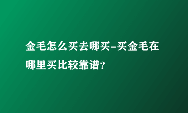 金毛怎么买去哪买-买金毛在哪里买比较靠谱？