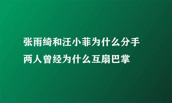 张雨绮和汪小菲为什么分手 两人曾经为什么互扇巴掌