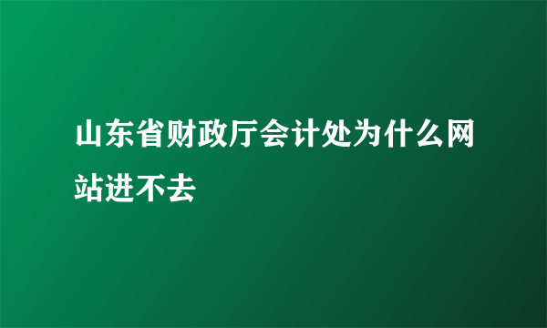 山东省财政厅会计处为什么网站进不去