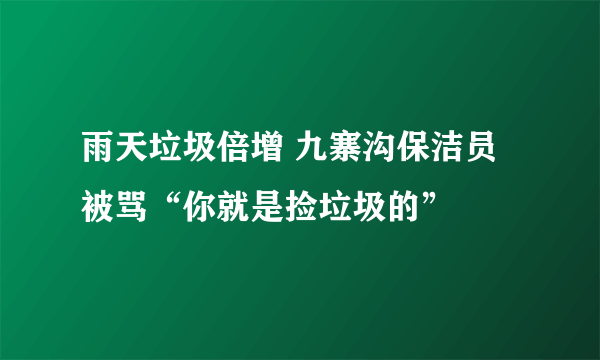 雨天垃圾倍增 九寨沟保洁员被骂“你就是捡垃圾的”