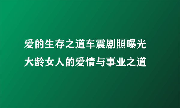 爱的生存之道车震剧照曝光 大龄女人的爱情与事业之道