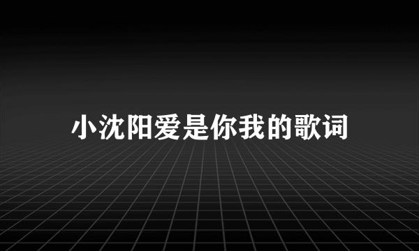 小沈阳爱是你我的歌词