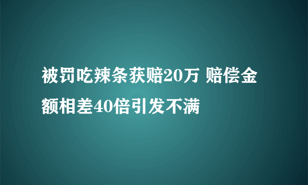 被罚吃辣条获赔20万 赔偿金额相差40倍引发不满