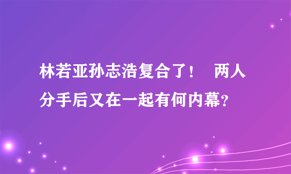 林若亚孙志浩复合了！  两人分手后又在一起有何内幕？