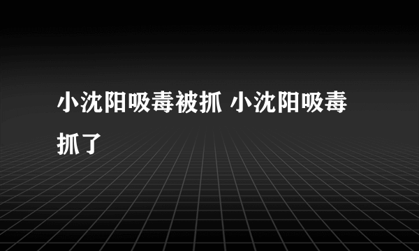 小沈阳吸毒被抓 小沈阳吸毒抓了