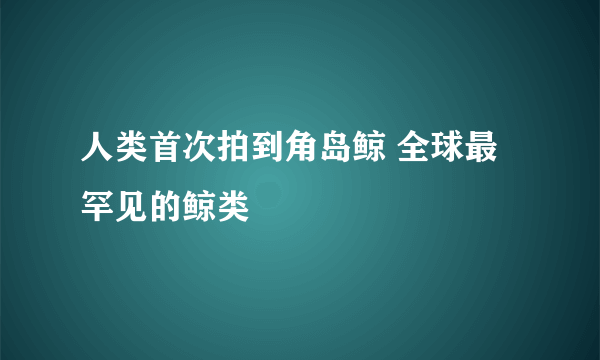 人类首次拍到角岛鲸 全球最罕见的鲸类