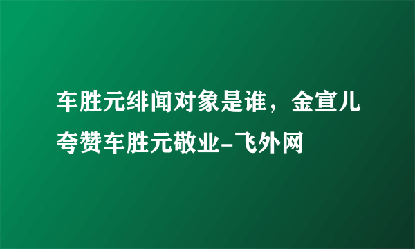 车胜元绯闻对象是谁，金宣儿夸赞车胜元敬业-飞外网