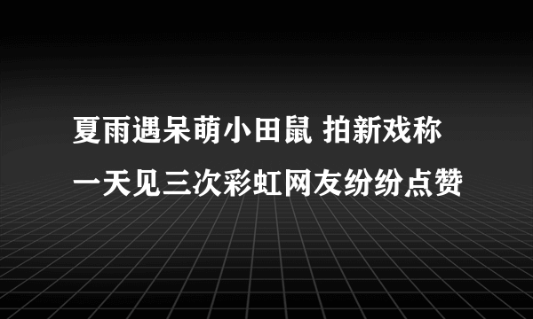 夏雨遇呆萌小田鼠 拍新戏称一天见三次彩虹网友纷纷点赞