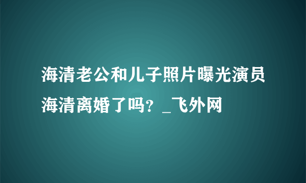 海清老公和儿子照片曝光演员海清离婚了吗？_飞外网