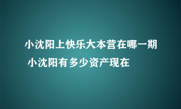 小沈阳上快乐大本营在哪一期 小沈阳有多少资产现在