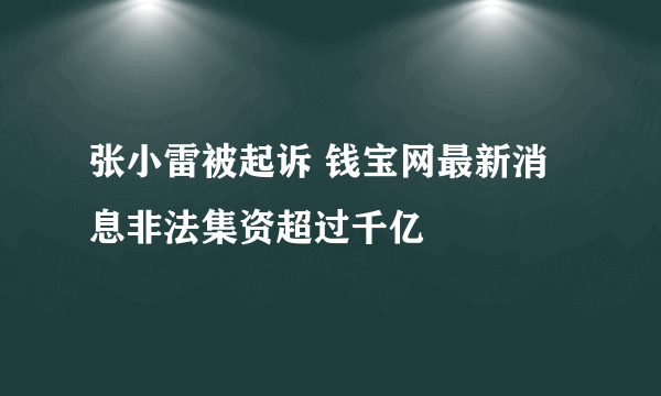 张小雷被起诉 钱宝网最新消息非法集资超过千亿