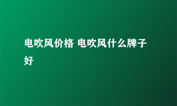 电吹风价格 电吹风什么牌子好