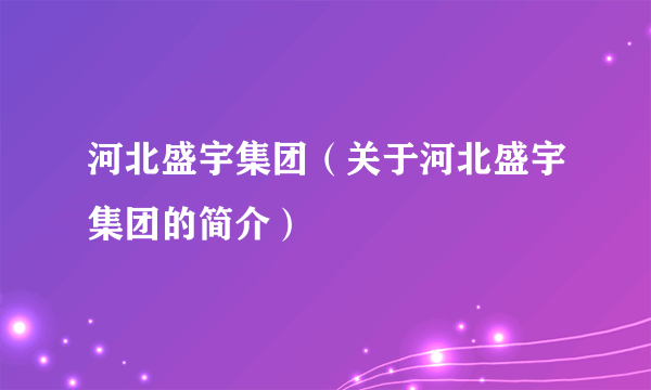 河北盛宇集团（关于河北盛宇集团的简介）