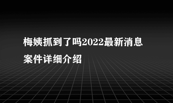 梅姨抓到了吗2022最新消息 案件详细介绍