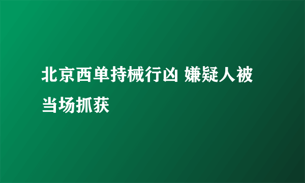 北京西单持械行凶 嫌疑人被当场抓获