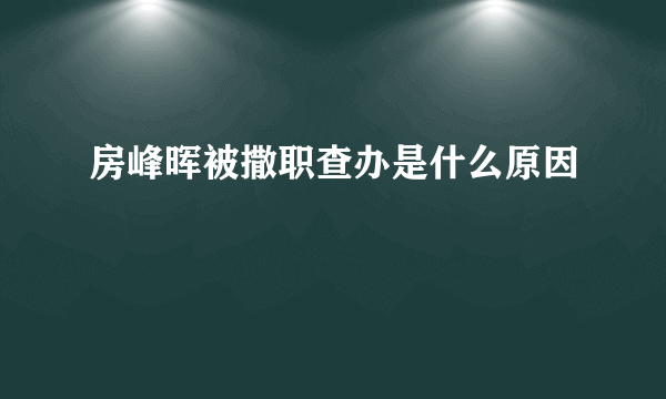 房峰晖被撒职查办是什么原因