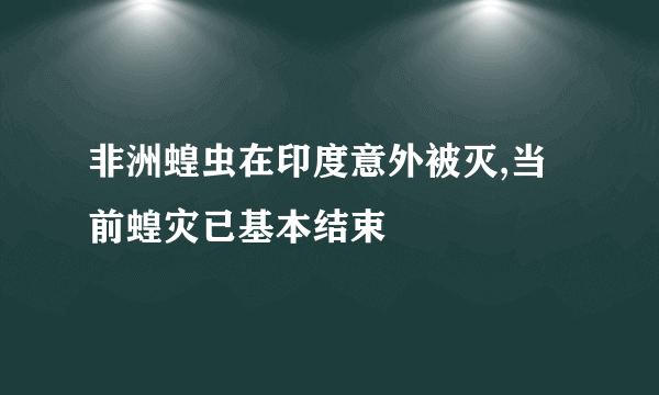 非洲蝗虫在印度意外被灭,当前蝗灾已基本结束