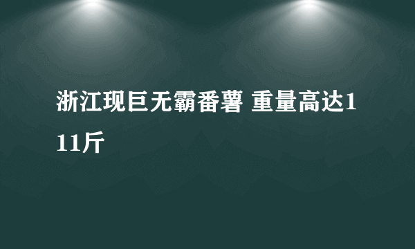 浙江现巨无霸番薯 重量高达111斤