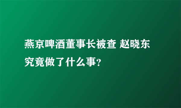 燕京啤酒董事长被查 赵晓东究竟做了什么事？