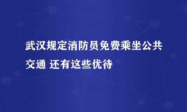 武汉规定消防员免费乘坐公共交通 还有这些优待