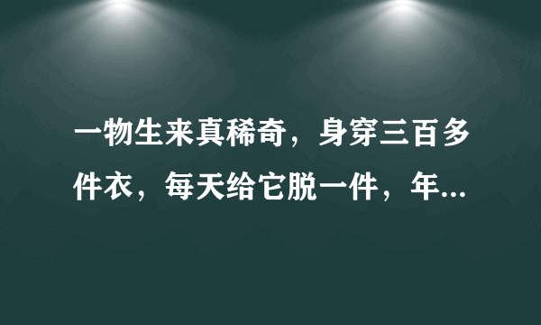 一物生来真稀奇，身穿三百多件衣，每天给它脱一件，年底剩下一张皮 提示：打一物品