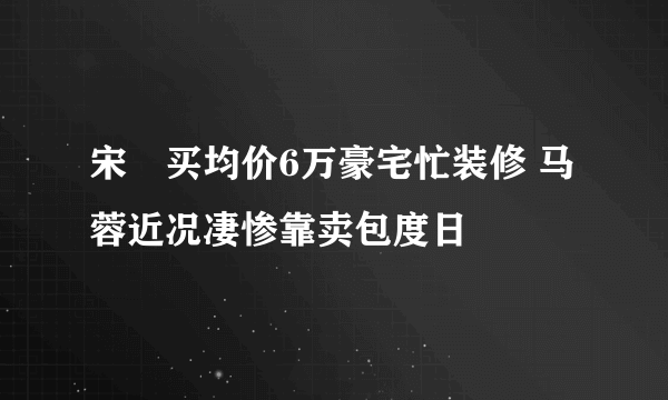 宋喆买均价6万豪宅忙装修 马蓉近况凄惨靠卖包度日