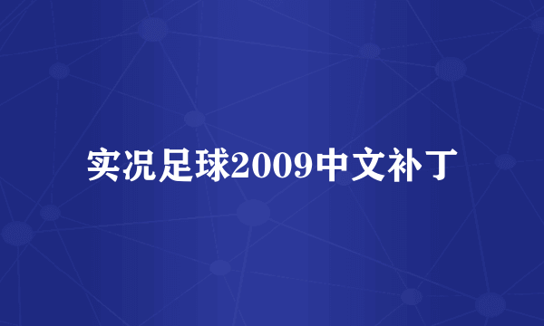 实况足球2009中文补丁