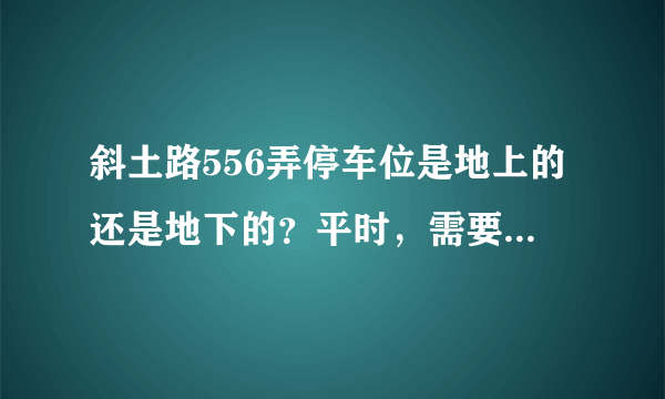 斜土路556弄停车位是地上的还是地下的？平时，需要抢车位吗？租车位多少钱？