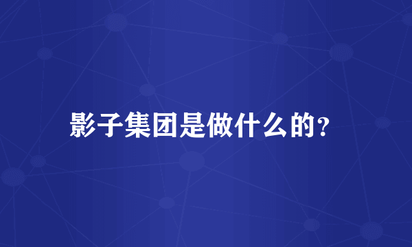 影子集团是做什么的？